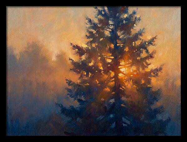 Conifer Tree At Dusk
