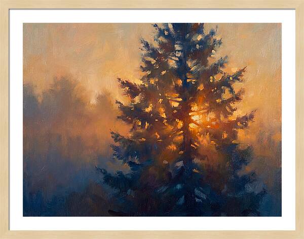 Conifer Tree At Dusk