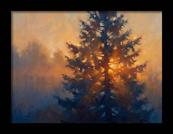Conifer Tree At Dusk