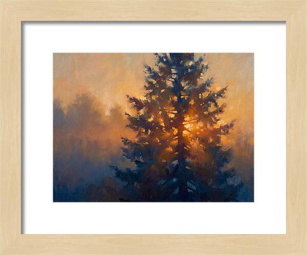 Conifer Tree At Dusk