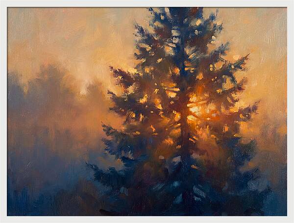 Conifer Tree At Dusk