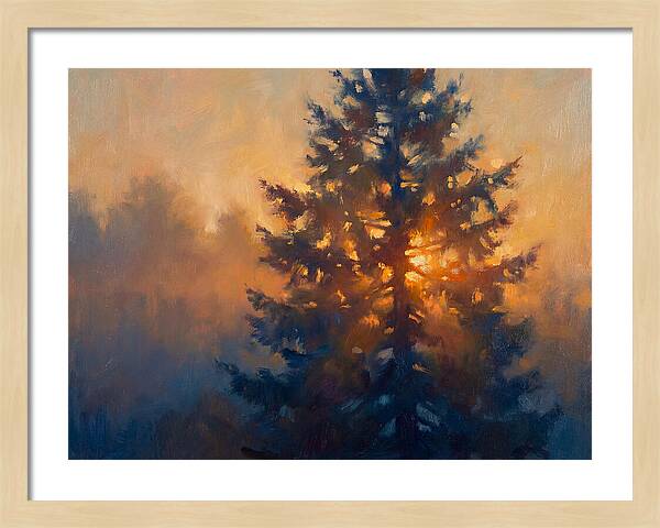 Conifer Tree At Dusk