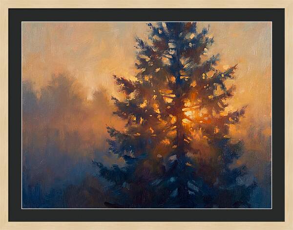 Conifer Tree At Dusk