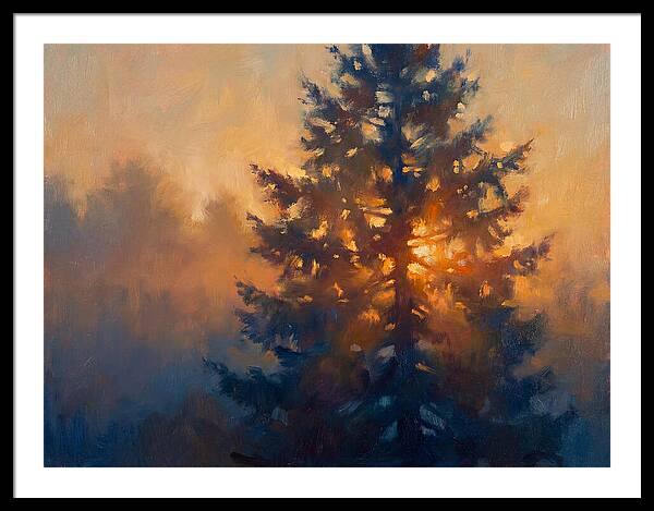 Conifer Tree At Dusk