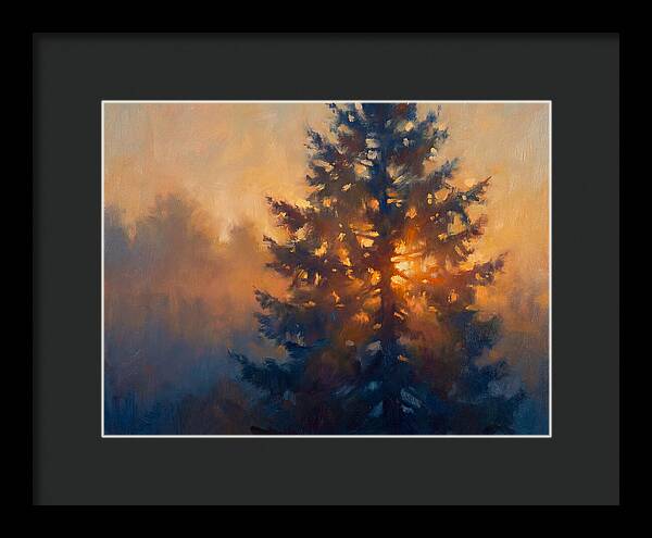 Conifer Tree At Dusk