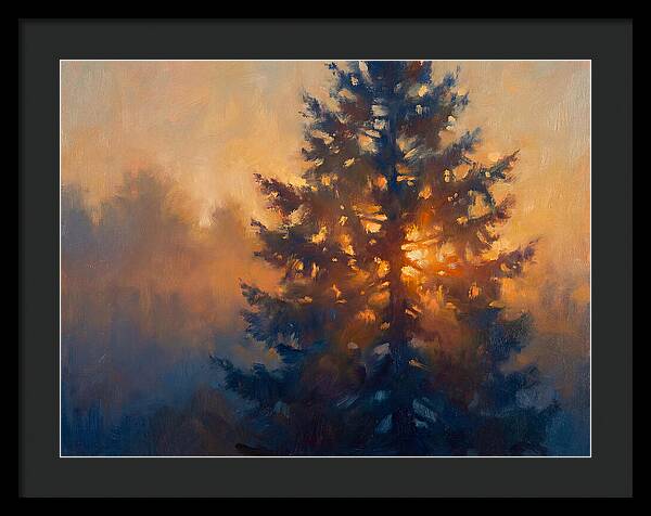 Conifer Tree At Dusk