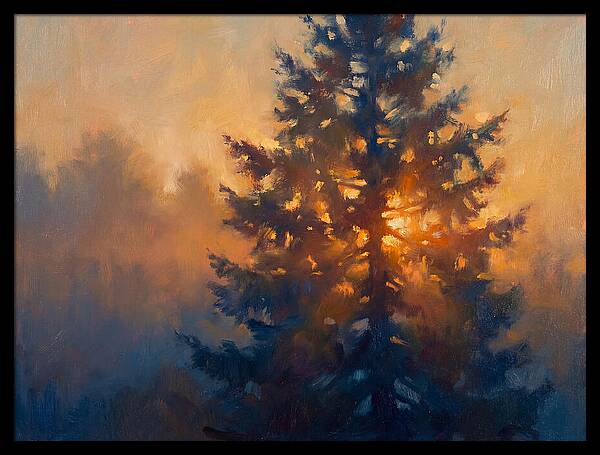 Conifer Tree At Dusk