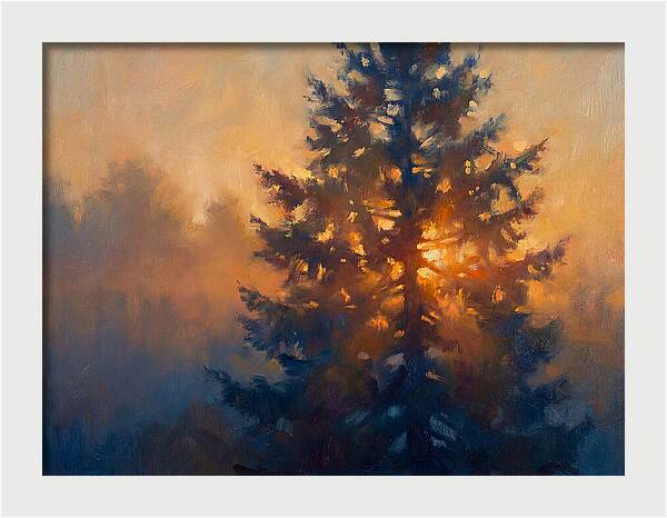 Conifer Tree At Dusk