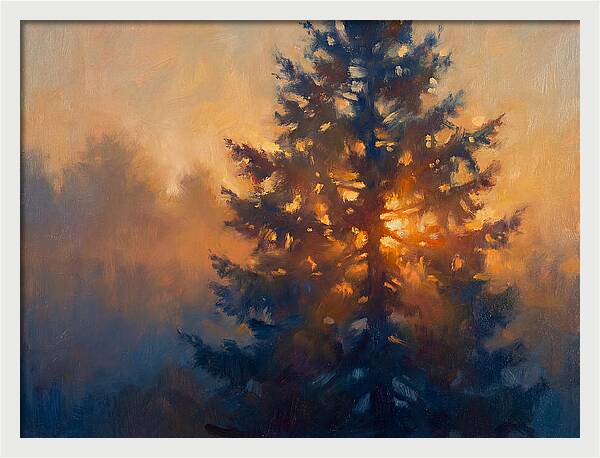Conifer Tree At Dusk