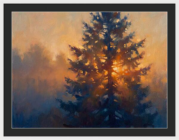 Conifer Tree At Dusk