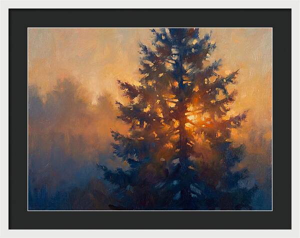 Conifer Tree At Dusk