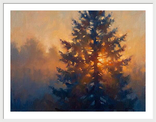Conifer Tree At Dusk