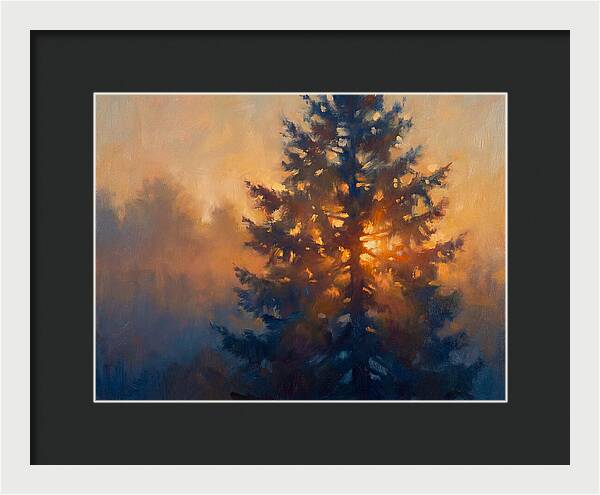 Conifer Tree At Dusk