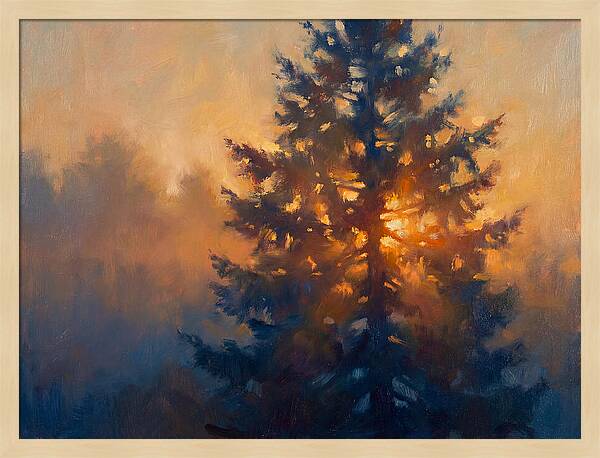 Conifer Tree At Dusk