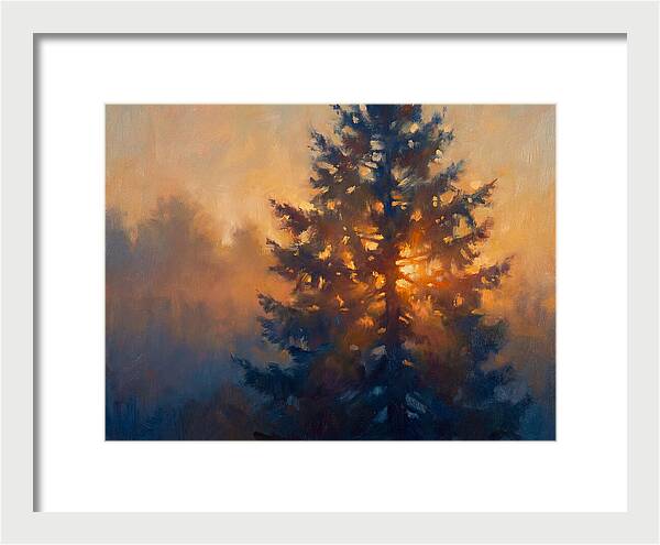 Conifer Tree At Dusk