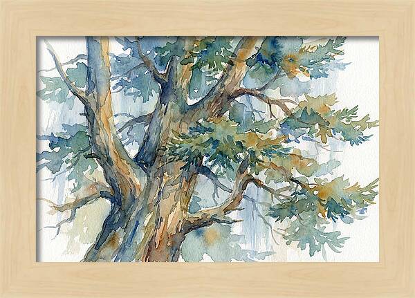 Conifer Tree Serenity