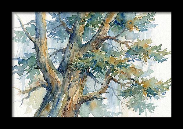 Conifer Tree Serenity