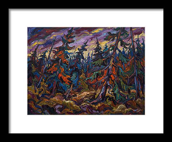 Coniferous Forest Serenity