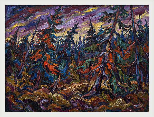 Coniferous Forest Serenity