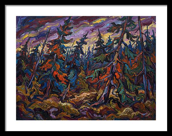 Coniferous Forest Serenity