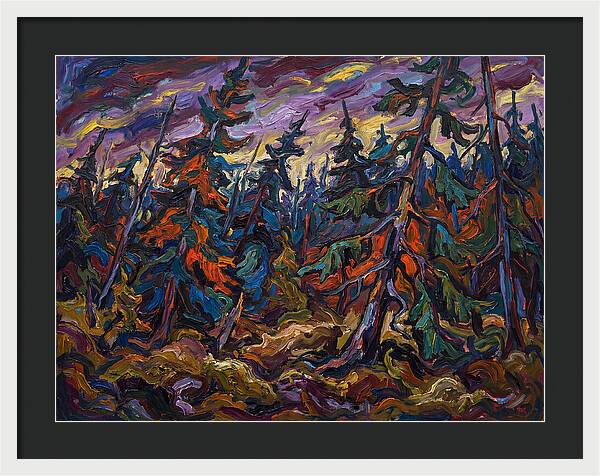 Coniferous Forest Serenity