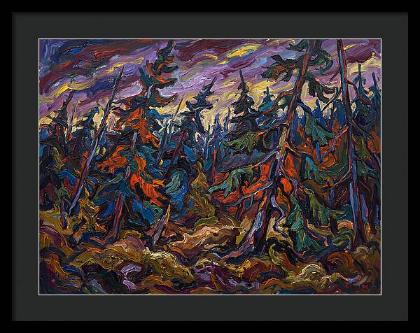 Coniferous Forest Serenity