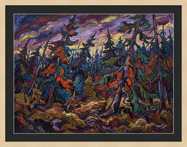 Coniferous Forest Serenity