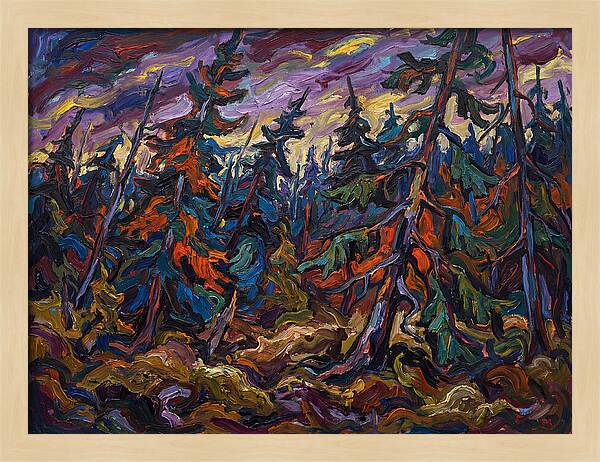 Coniferous Forest Serenity