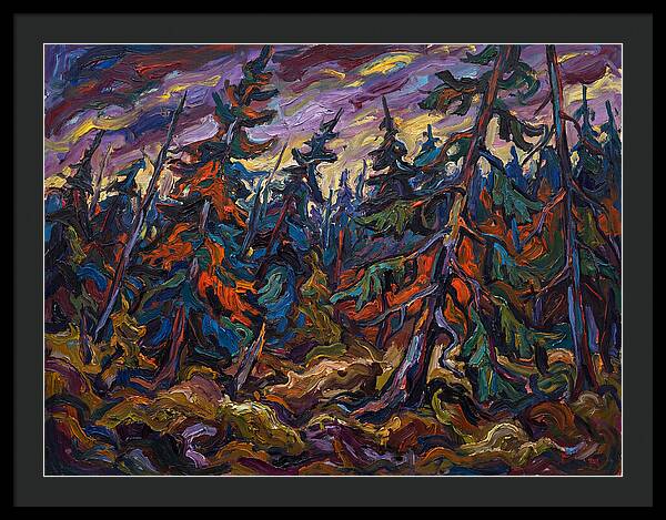 Coniferous Forest Serenity