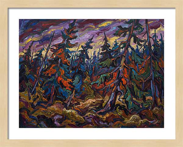 Coniferous Forest Serenity
