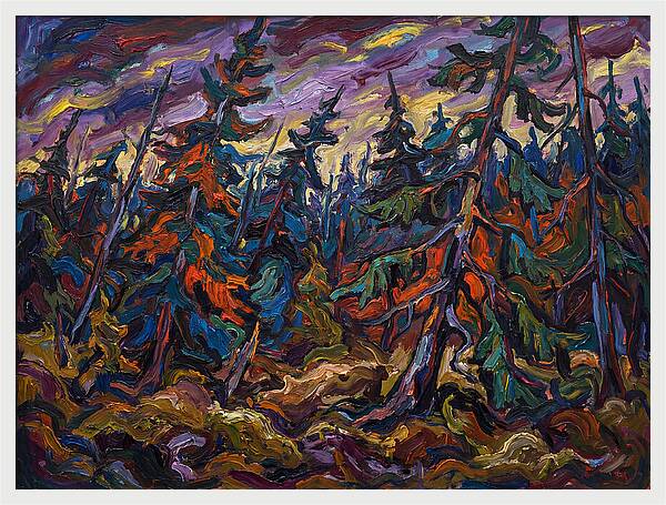 Coniferous Forest Serenity