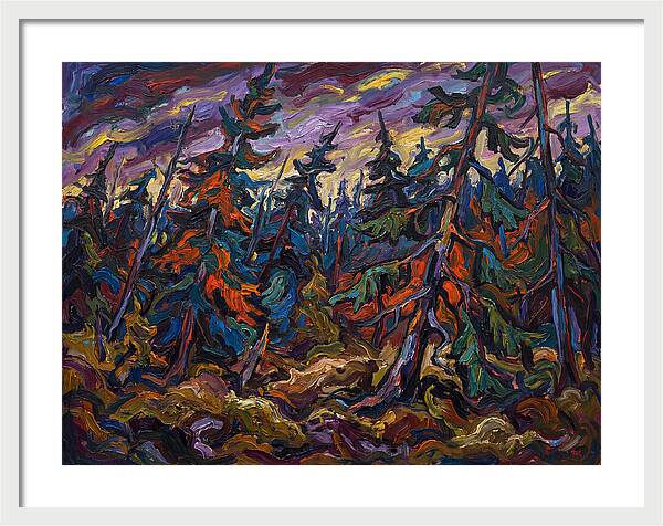 Coniferous Forest Serenity