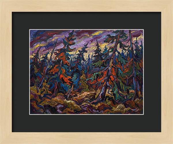 Coniferous Forest Serenity