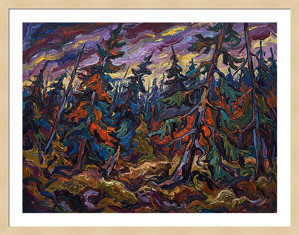 Coniferous Forest Serenity