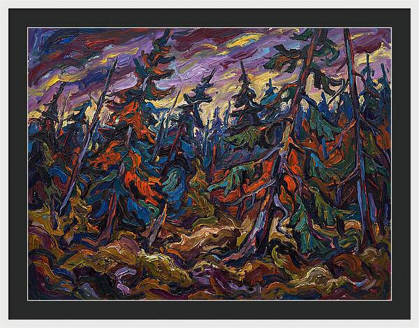 Coniferous Forest Serenity