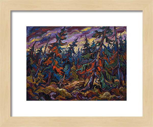 Coniferous Forest Serenity