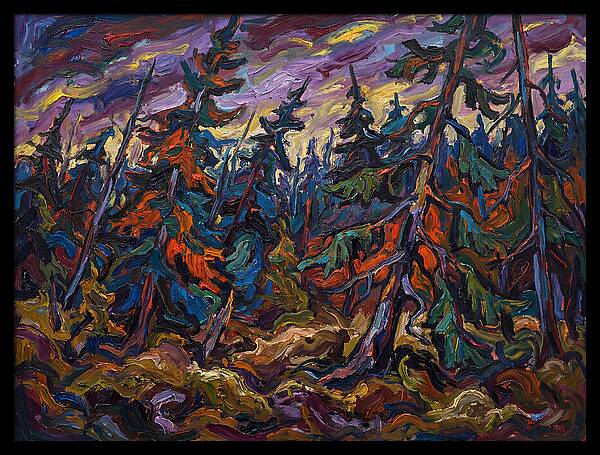 Coniferous Forest Serenity
