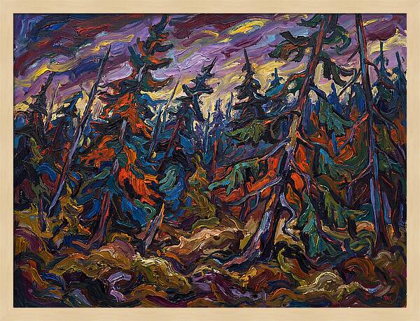 Coniferous Forest Serenity