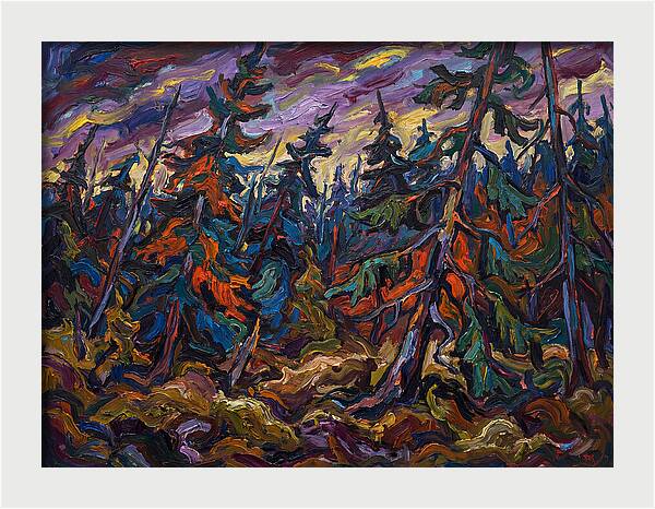 Coniferous Forest Serenity