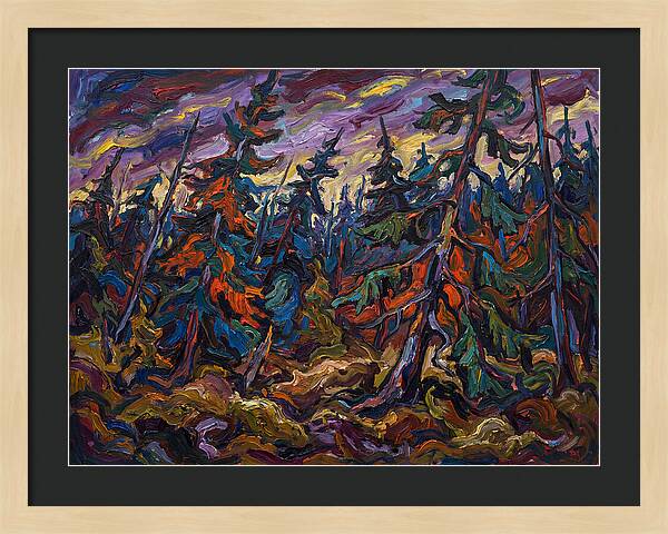 Coniferous Forest Serenity
