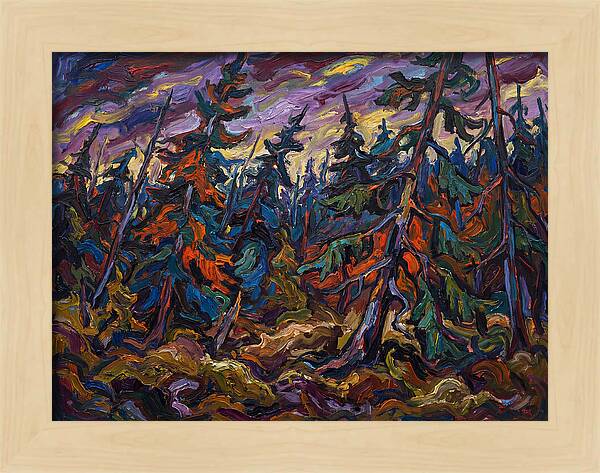 Coniferous Forest Serenity