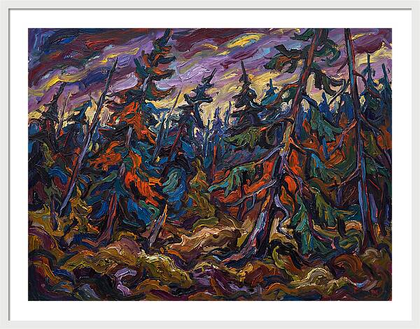 Coniferous Forest Serenity