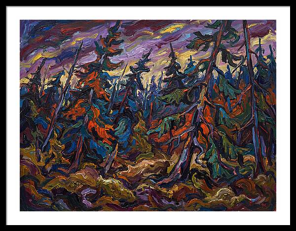 Coniferous Forest Serenity