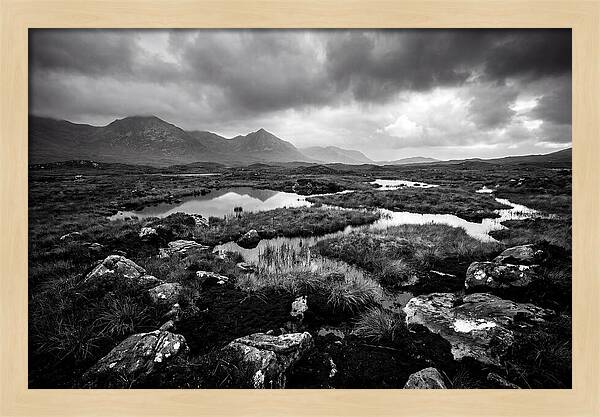 Connemara Bog Landscape Vista