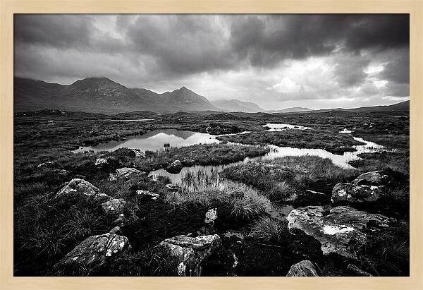 Connemara Bog Landscape Vista