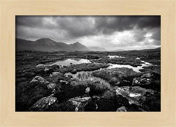 Connemara Bog Landscape Vista