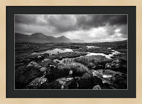 Connemara Bog Landscape Vista