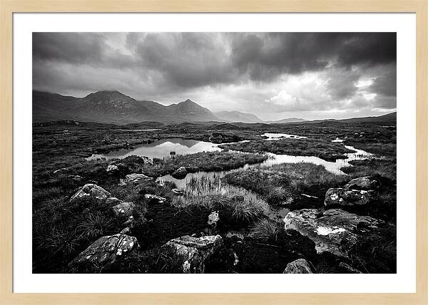 Connemara Bog Landscape Vista