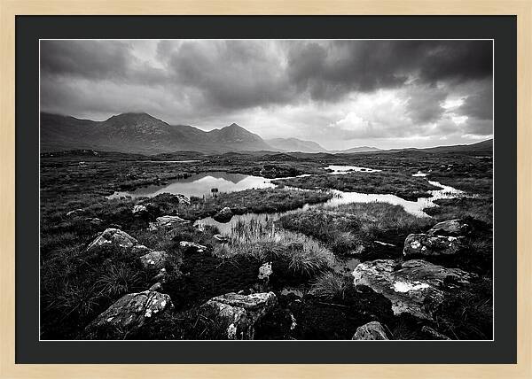 Connemara Bog Landscape Vista