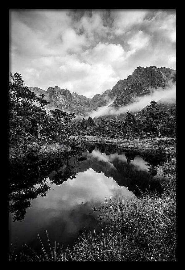 Connemara Bog Reflection Study